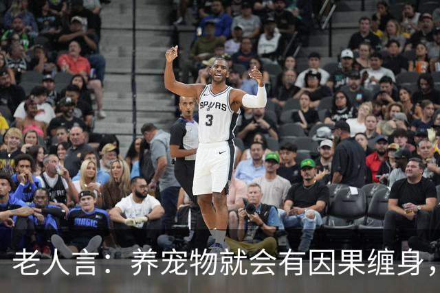老人言：养宠物就会有因果缠身，这3件事养猫人需要知的冥界规则